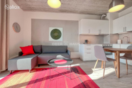 1 kamb. butas Vilnius, Baltupiai, Baltupio g.