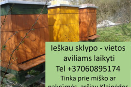 Ieškau sklypo - vietos  aviliams laikyti   Tel *** Tinka prie miško ar pakrūmės  arčiau Klaipėdos
