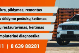 Autoelektrikas-elektronikos diagnostika,remontas