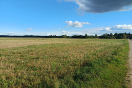 15 a sklypas Panevėžio r. sav., Paliūniškis, Vilktupio g.