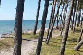 Vairuotojo Bkat darbo