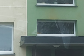 3 kamb. butas Akmenės r. sav., Naujoji Akmenė, V. Kudirkos g.