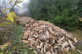 Malkos Švenčionyse