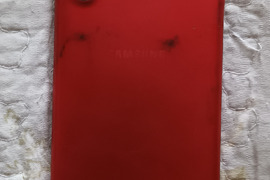 Samsung Samsung  a 01