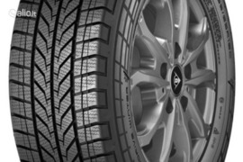 Dunlop ECONODRIVE WINTER 195/65R16 104T C, Žieminės padangos