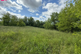 32.91 a sklypas Kaunas, Panemunė, Svyrių g.