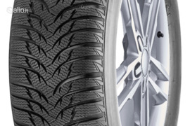 Marshal MW31 195/65R15 91T, Žieminės padangos