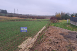 Dvigubas 32,31 aro sklypas Alytuje - Jūratės gatvėje