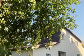 Kaunas, Petrašiūnai, Žalvarnių takas