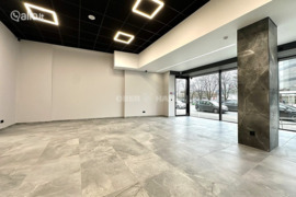 Patalpos Panevėžys, Panevėžys, J. Basanavičiaus g.