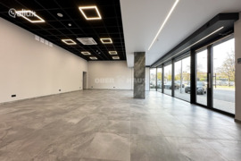 Patalpos Panevėžys, Panevėžys, J. Basanavičiaus g.