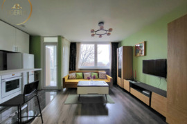 Vilnius, Naujamiestis, Skroblų g., 1 kambario buto nuoma