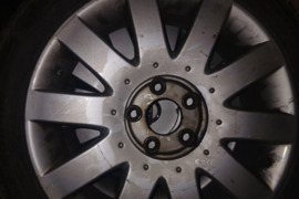 Lieti ratlankiai, R-17