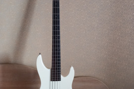 ARIA pro II SLB series bass guitar