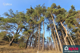 6.43 a sklypas Vilnius, Liepkalnis, Birbynių g.