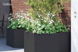 vidaXL Sodo loveliai, 2vnt., antracito spalvos, PP