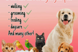 Galiu pasirūpinti bet kuriuo jūsų augintiniu!