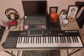 Inuomoju muzikos instrumentus