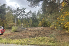 Apleistų sodo sklypų tvarkymas