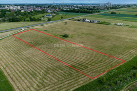 95.80 a sklypas Alytaus r. sav., Miklusėnai, Kauno g.