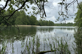 Namas Ignalinos r. sav., Pūškos