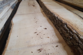 Klevo storlentės (dilės, blankės), lentos