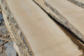 Džiovintos uosio lentos