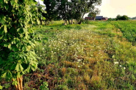 17 a sklypas Klaipėdos r. sav., Kantvainai