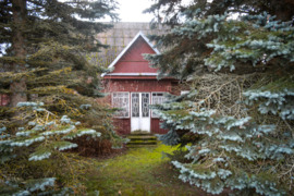 Parduodamas gyvenamasis namas su ūkiniais pastatais ir 36.82 arų žemės sklypu, Kalno g. 21, Navikų k