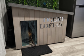 Šuns būda - katino namas