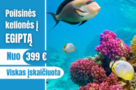 NEPERMOKĖK UŽ KELIONĘ! PIGIOS KELIONĖS! PASKUTINĖ MINUTĖ!