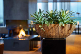 Aukštos kokybės lauko ir vidaus vazonai