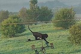 Namas rąstų su ūkin pastatais- Sodyba