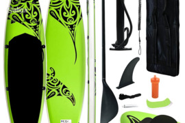 vidaXL Pripučiamos irklentės rinkinys, žalios spalvos, 366x76x15cm