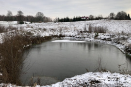 SKLYPAS SU PATVIRTINTU PROJEKTU ŪKININKO SODYBAI STEIGTI