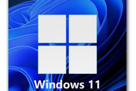 Windows 10/11 Pro Raktas (Retail)