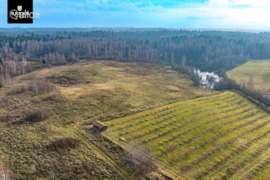 628.79 a sklypas Vilniaus r. sav., Levydonys