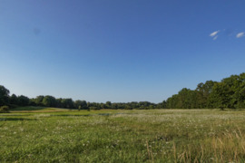 30 a sklypas Vilniaus r. sav., Bendoriai, Ateities g.