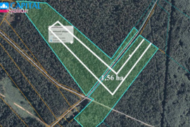 156.0 a sklypas Lazdijų r. sav., Varviškė