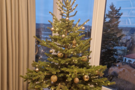 Išskirtiniai, rankomis dekoruoti vazonai – šiluma, jaukumas ir unikalumas jūsų namams, praktiškas, p