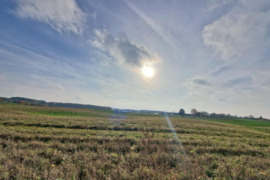 Sodyba Alytaus r. sav., Davainiškės