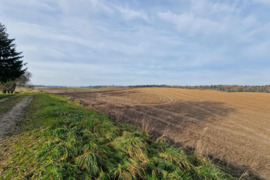 13ha sklypas su sodyba Alovės sen.