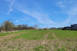 Parduodame 15a namų valdos sklypą Miklusėnuose