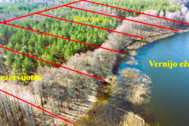 Parduodamas 91,66 arų žemės sklypas pušyne, keli kilometrai nuo Veisiejų.