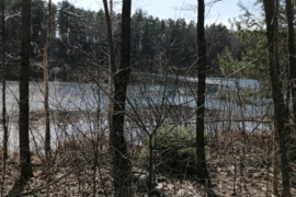 NAMŲ VALDOS SKLYPAS SU KŪNOS EŽERO PAKRANTE !!!!!