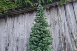 Eglė. Kalėdoms. Naujiems metams.
