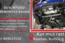 Duslintuvų ir slenksčių remontas Kaune