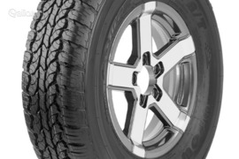 Powertrac POWER LANDER A/T 275/65R17 115T, Vasarinės padangos