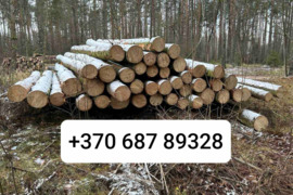 Perkame miškus su žeme arba išsikirtimui visoje Lietuvoje