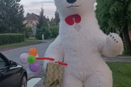 Didžiosios meškutės sveikinimai visuose miestuose